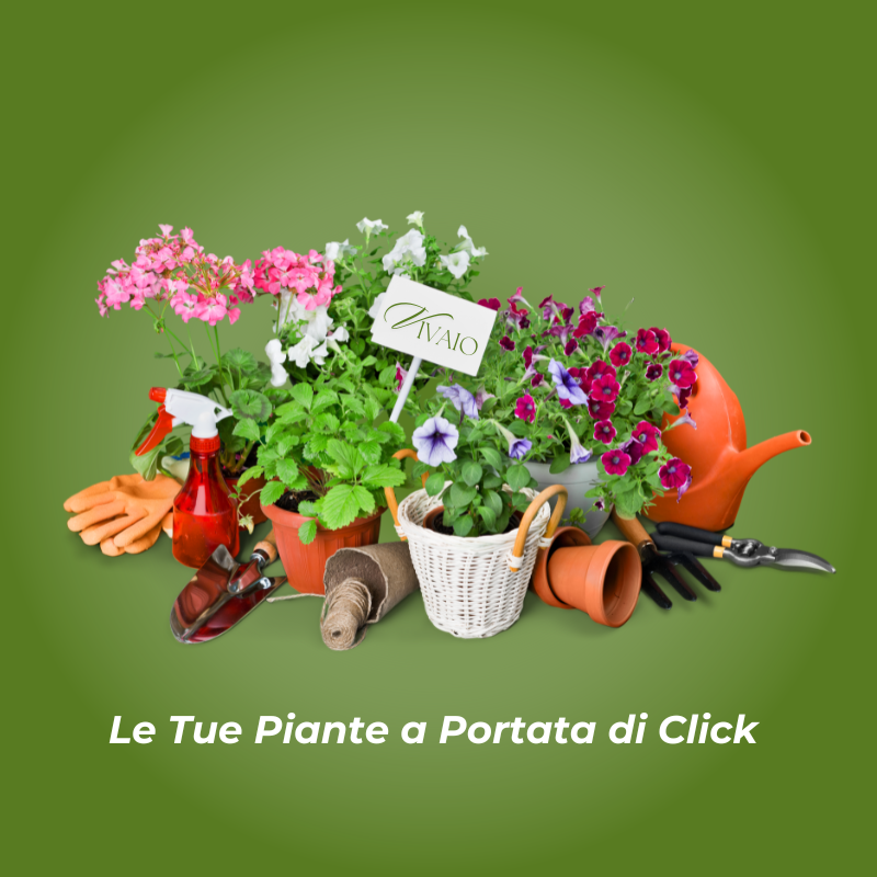 Banner Generico Top x Mobile | Agricola Mondo Piante - Vivaio Online all'Ingrosso